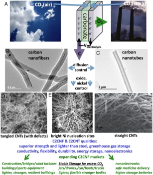 One pot facile transformation of CO2 to an unusual 3-D nano-scaffold morphology of carbon