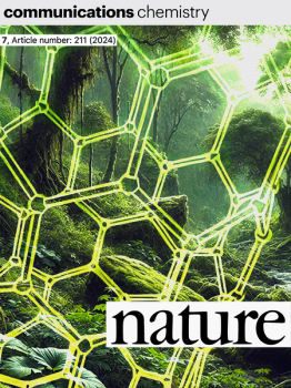 A new electrolyte for molten carbonate decarbonization